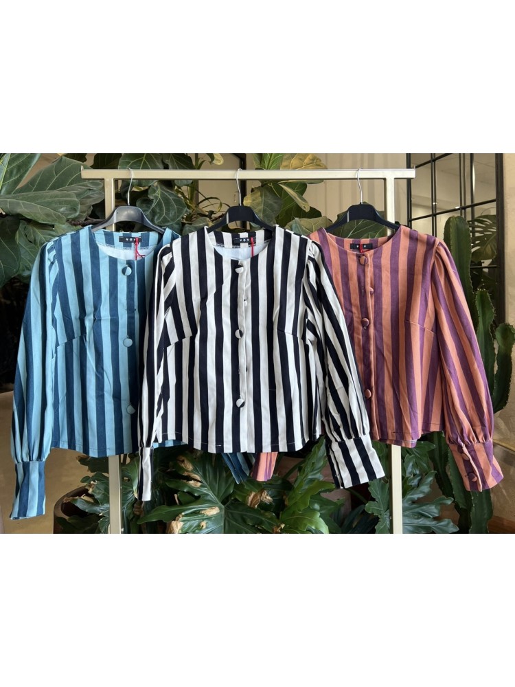 Falsa evasé bicolor raya fina bicolor